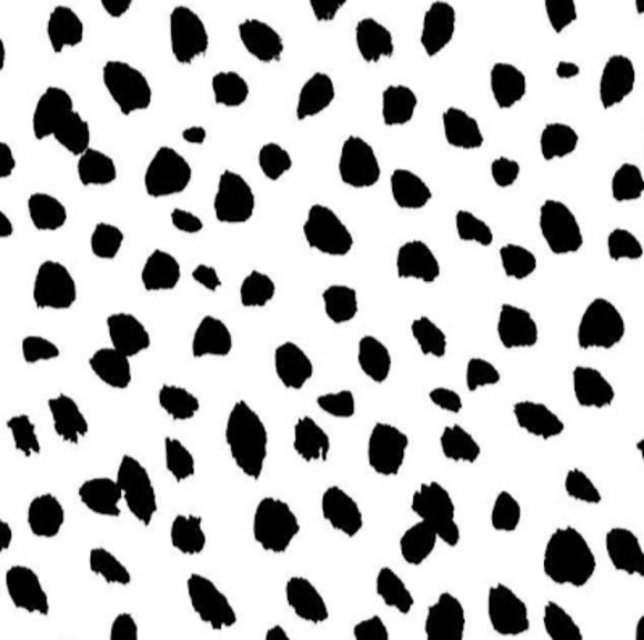 Meet your Posher, Falcon - Picture 1 of 1